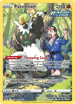 Passimian card (Silver Tempest Trainer Gallery TG08) with Black Belt in the artwork